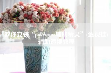 教你安装“pokemmo辅助精灵	”(透视挂)辅助透视教程