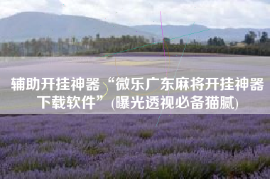 辅助开挂神器“微乐广东麻将开挂神器下载软件”(曝光透视必备猫腻)