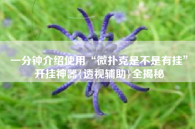 一分钟介绍使用“微扑克是不是有挂”开挂神器{透视辅助}全揭秘