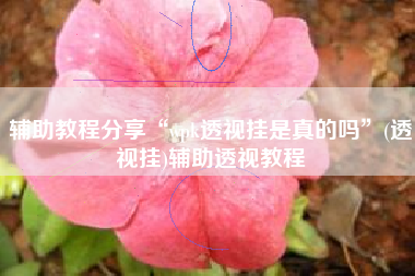 辅助教程分享“wpk透视挂是真的吗”(透视挂)辅助透视教程