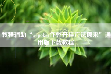 教程辅助“wepoker作弊开挂方法原来”通用版下载教程!