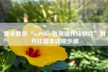 我来教你“wePOKer透视插件挂软件”附开挂脚本详细步骤