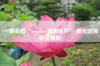 一键必胜“wepoker辅助插件”(曝光透视必备猫腻) 一键必胜“wepoker辅助插件”(曝光透视必备猫腻)