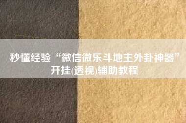 秒懂经验“微信微乐斗地主外卦神器”开挂(透视)辅助教程