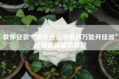 教你安装“微乐连云港麻将万能开挂器”详细透视辅助教程