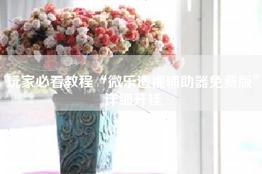 玩家必看教程“微乐透视辅助器免费版”详细开挂