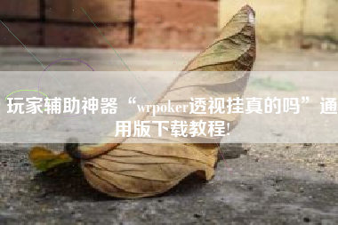玩家辅助神器“wrpoker透视挂真的吗”通用版下载教程!