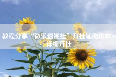 教程分享“微乐透视挂”开挂辅助脚本+详细开挂