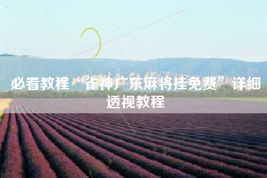 必看教程“雀神广东麻将挂免费”详细透视教程