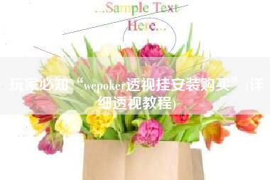 玩家必知“wepoker透视挂安装购买”(详细透视教程) 玩家必知“wepoker透视挂安装购买”(详细透视教程)