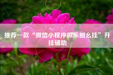 推荐一款“微信小程序微乐刨幺挂”开挂辅助