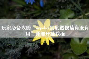 玩家必备攻略“wepoker到底透视挂有没有用”详细开挂教程