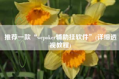 推荐一款“wepoker辅助挂软件”(详细透视教程)