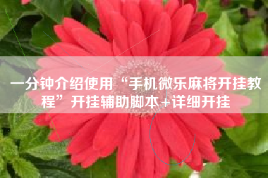 一分钟介绍使用“手机微乐麻将开挂教程”开挂辅助脚本+详细开挂