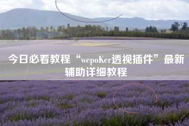 今日必看教程“wepoKer透视插件	”最新辅助详细教程