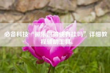 必备科技“微乐跑得快有挂吗”详细教程辅助工具