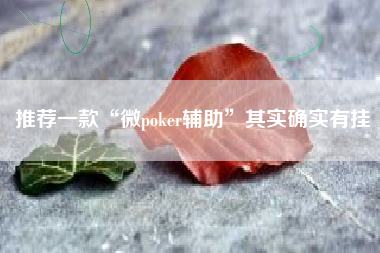 推荐一款“微poker辅助”其实确实有挂