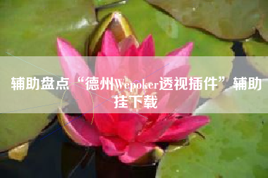 辅助盘点“德州Wepoker透视插件”辅助挂下载