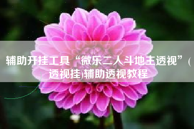 辅助开挂工具“微乐二人斗地主透视”(透视挂)辅助透视教程