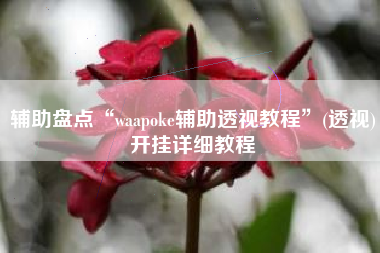 辅助盘点“waapoke辅助透视教程”(透视)开挂详细教程
