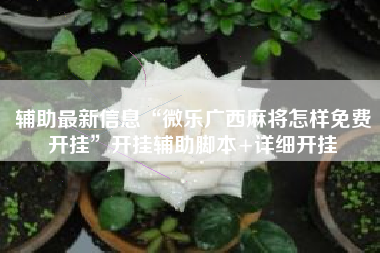 辅助最新信息“微乐广西麻将怎样免费开挂	”开挂辅助脚本+详细开挂