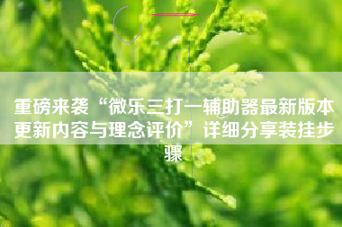 重磅来袭“微乐三打一辅助器最新版本更新内容与理念评价”详细分享装挂步骤