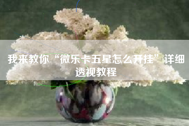 我来教你“微乐卡五星怎么开挂	”详细透视教程