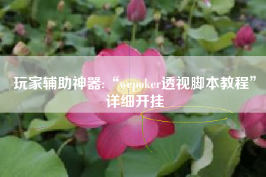 玩家辅助神器:“wepoker透视脚本教程”详细开挂