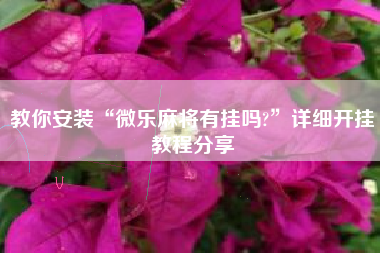 教你安装“微乐麻将有挂吗?	”详细开挂教程分享