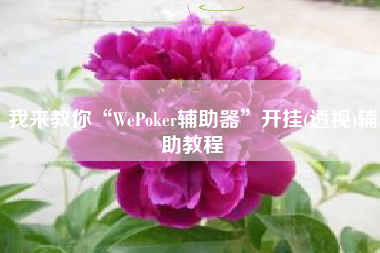 我来教你“WePoker辅助器”开挂(透视)辅助教程