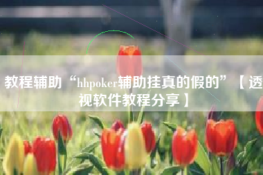 教程辅助“hhpoker辅助挂真的假的”【透视软件教程分享】