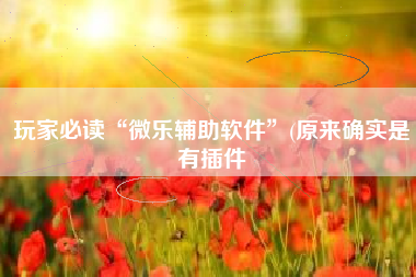 玩家必读“微乐辅助软件	”(原来确实是有插件