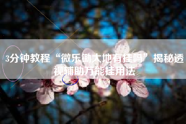 3分钟教程“微乐锄大地有挂吗”揭秘透视辅助万能挂用法