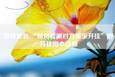教程更新!“如何检测对方微乐开挂”附开挂脚本详细