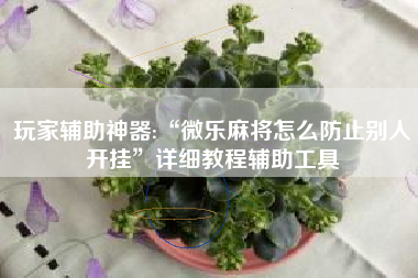 玩家辅助神器:“微乐麻将怎么防止别人开挂”详细教程辅助工具