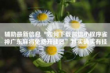 辅助最新信息“如何下载微信小程序雀神广东麻将免费开挂器	”其实确实有挂