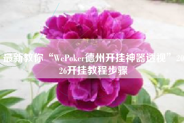 最新教你“WePoker德州开挂神器透视”2026开挂教程步骤