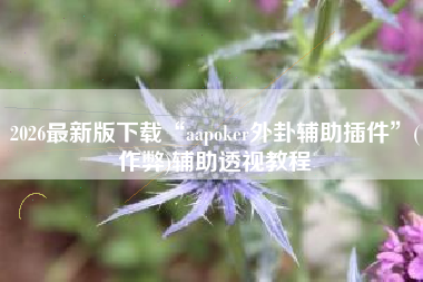 2026最新版下载“aapoker外卦辅助插件”(作弊)辅助透视教程