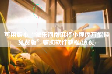 可用版本“微乐河南麻将小程序万能挂免费版”辅助软件教程(透视)