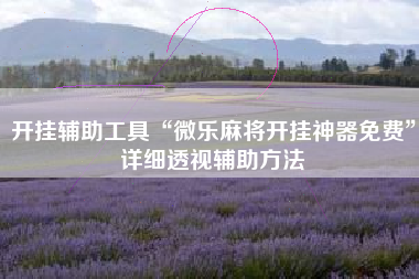 开挂辅助工具“微乐麻将开挂神器免费”详细透视辅助方法