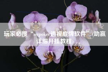 玩家必搜“wepoker透视底牌软件	”(助赢详细开挂教程)