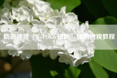 助赢神器“WePOKer辅助”辅助透视教程