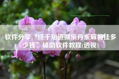 软件分享“终于知道微乐丹东麻将挂多少钱”辅助软件教程(透视)