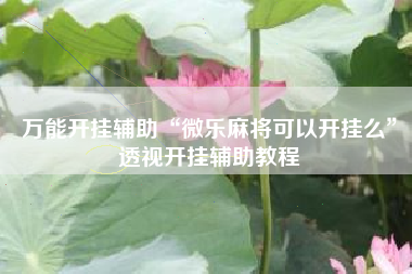 万能开挂辅助“微乐麻将可以开挂么”透视开挂辅助教程