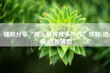 辅助分享“微乐麻将挂多少钱	”作弊(透视)透视辅助