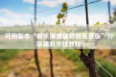 可用版本“微乐保皇辅助器免费版”分享辅助外挂教程