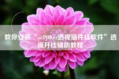 教你安装“wePOKer透视插件挂软件”透视开挂辅助教程