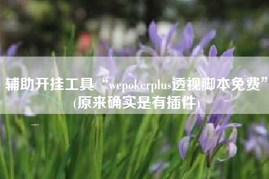 辅助开挂工具“wepokerplus透视脚本免费”(原来确实是有插件)