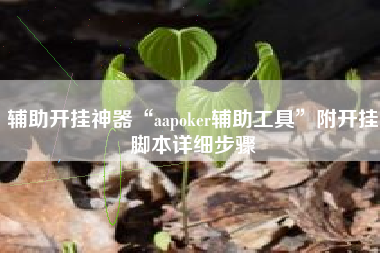 辅助开挂神器“aapoker辅助工具”附开挂脚本详细步骤
