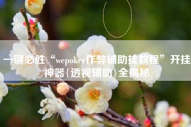 一键必胜“wepoker作弊辅助挂教程”开挂神器{透视辅助}全揭秘